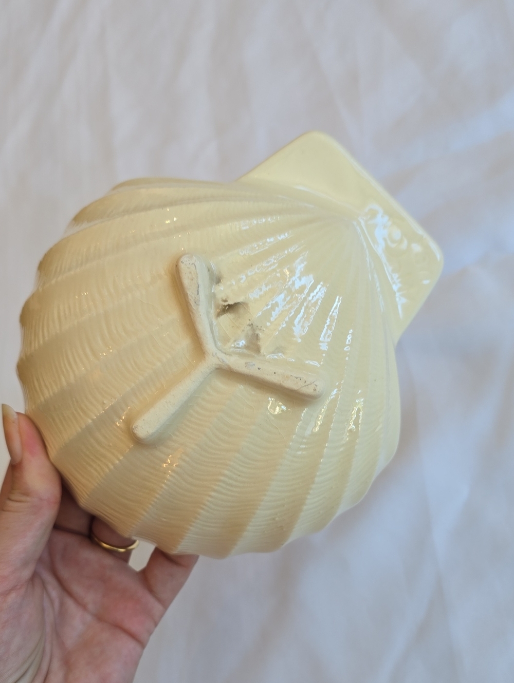 Cream Ceramic Shell Dish - Picture 3 of 4